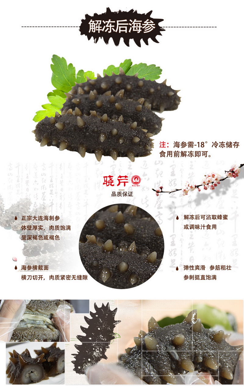 海參,即食海參,大連海參,曉芹海參,海參品牌,遼刺參,海鮮水產(chǎn)